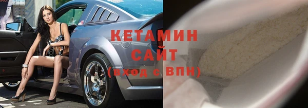 шишки Няндома