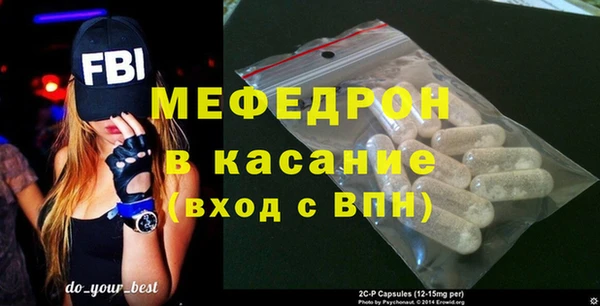 шишки Няндома