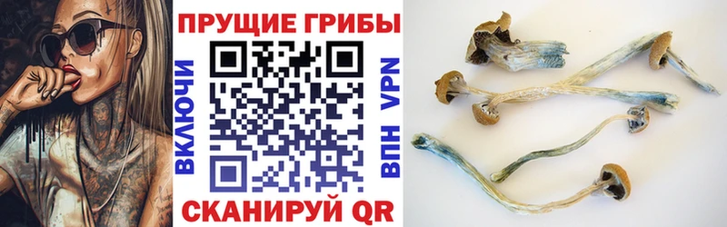 МЕГА зеркало  Орехово-Зуево  Галлюциногенные грибы мицелий 